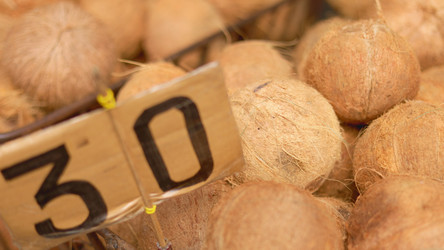 Similar image 22338799