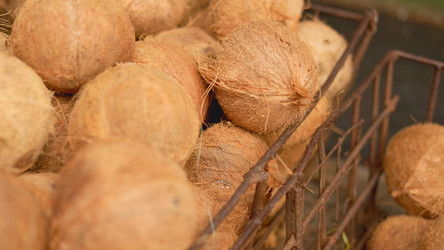 Similar image 22338800