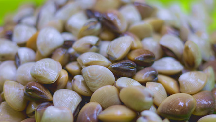 Similar image 22338801