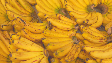 Similar image 22338804