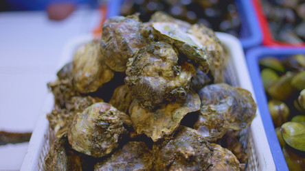 Similar image 22338807