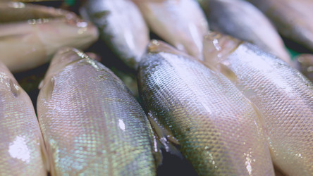 Similar image 22338602