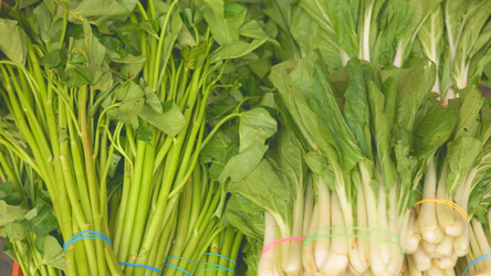 Similar image 22338604