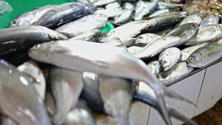 Similar image 22338605