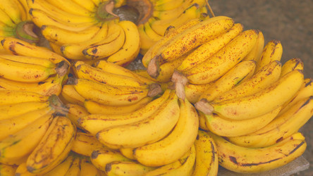 Similar image 22338607