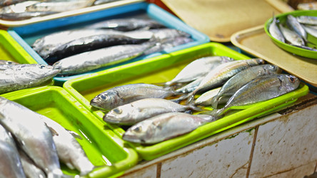 Similar image 22338608