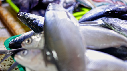 Similar image 22338610