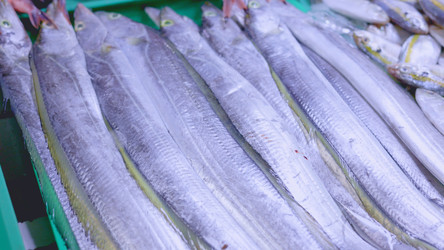 Similar image 22338706