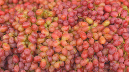 Similar image 22338707