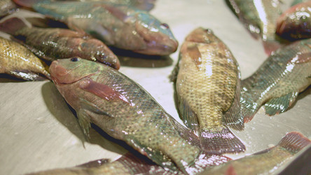 Similar image 22338709