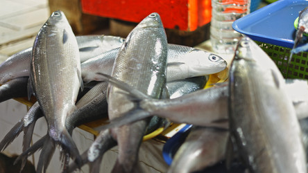 Similar image 22338711