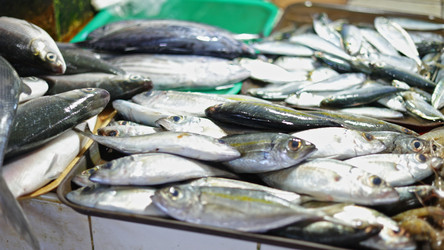 Similar image 22338713