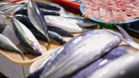 Similar image 22338719