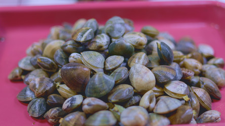 Similar image 22338810