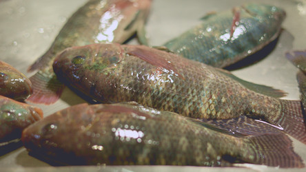 Similar image 22338818