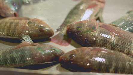 Similar image 22338819