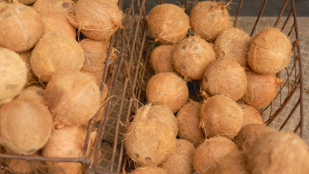 Similar image 22338822