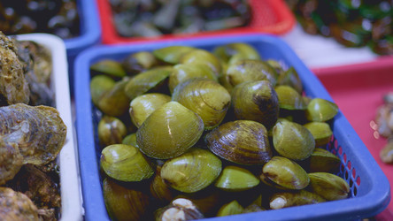 Similar image 22338825