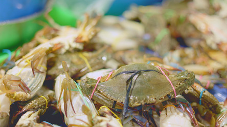 Similar image 22338879