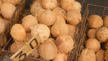 Similar image 22338883