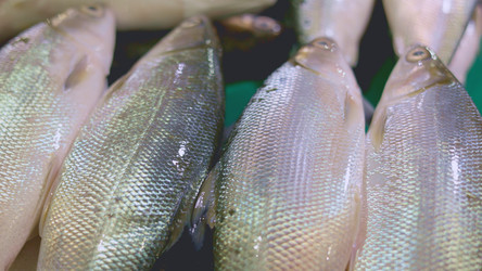 Similar image 22338884