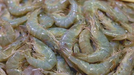 Similar image 22338887