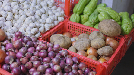 Similar image 22338888