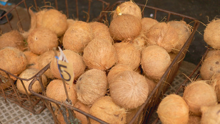 Similar image 22338894