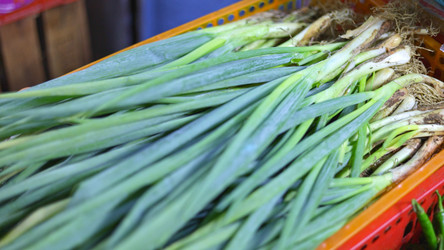 Similar image 22338895