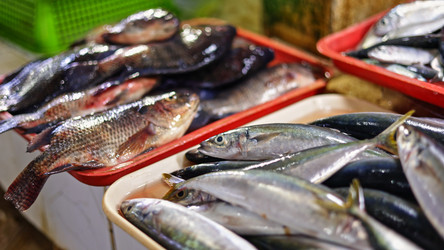 Similar image 22338898