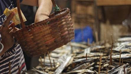 Similar image 22338903