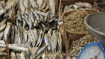 Similar image 22338905