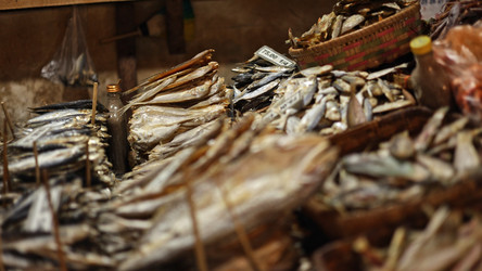 Similar image 22338906