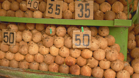 Similar image 22338909