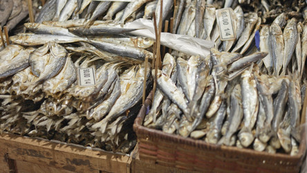 Similar image 22338933