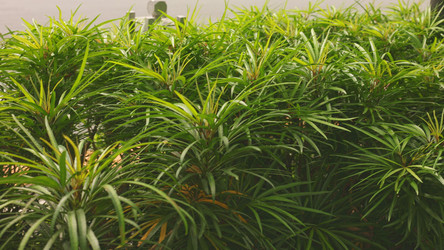 Similar image 22338828