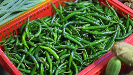 Similar image 22338830