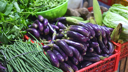 Similar image 22338837