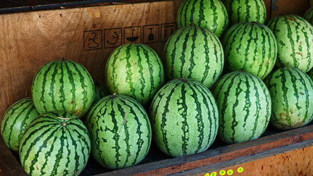 Similar image 22338838