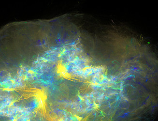 Similar image 22341734