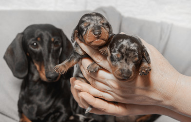 Similar image 22337190