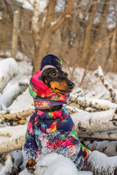 Similar image 22337191