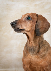 Similar image 22337192