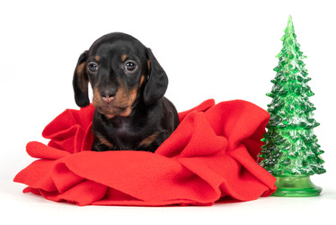 Similar image 22337819