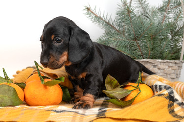 Similar image 22337820