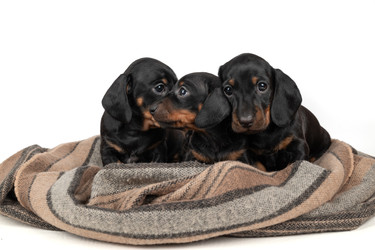 Similar image 22337821