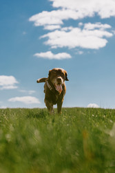 Similar image 22341252