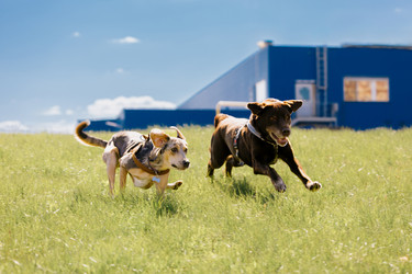 Similar image 22341253