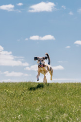 Similar image 22341254