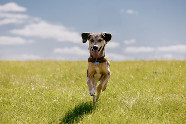 Similar image 22341255